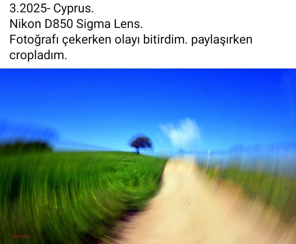33 Cyprus Spring Landscape Field