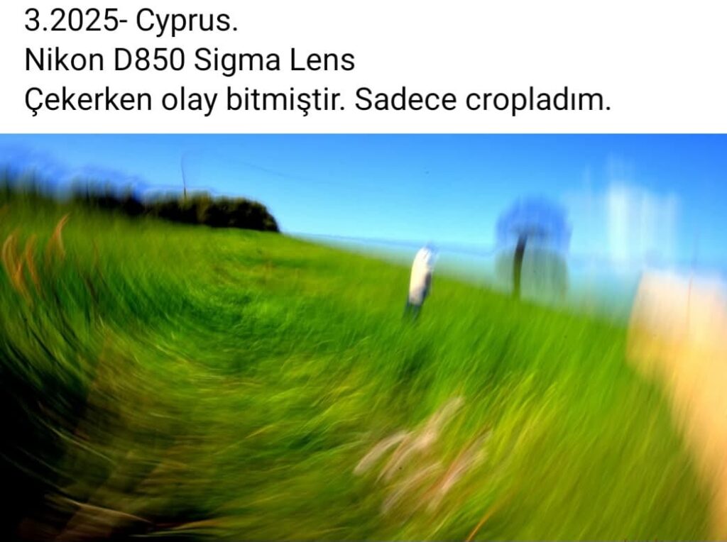 35 Cyprus Spring Landscape Motion Blur